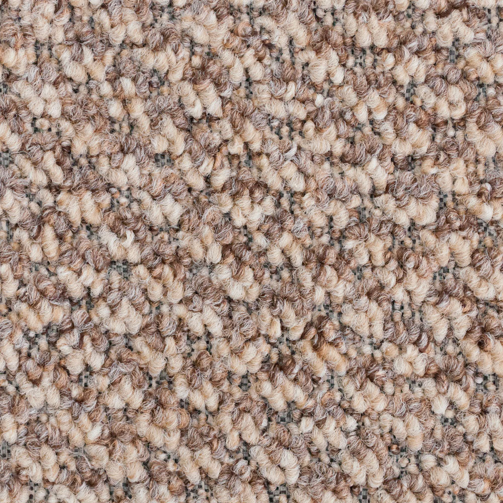 Beige & Brown 860 Aim High Carpet - Image 3