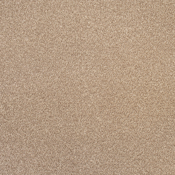 Beige Brown Quebec Twist Carpet - Image 2