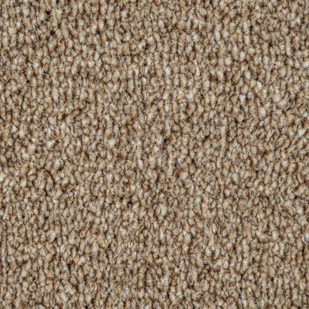 Beige Indiana Saxony Carpet - Image 3