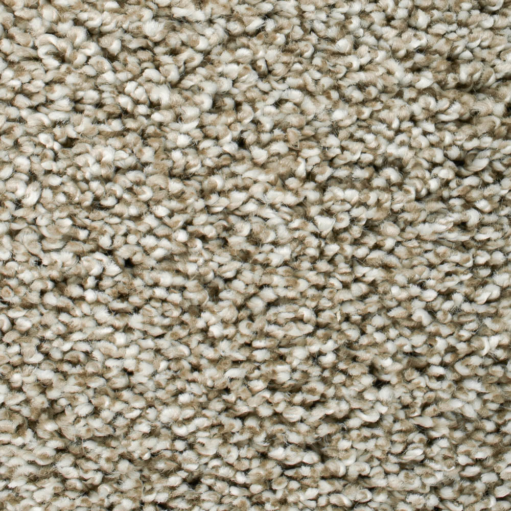 Beige Nebula Saxony Carpet - Image 4