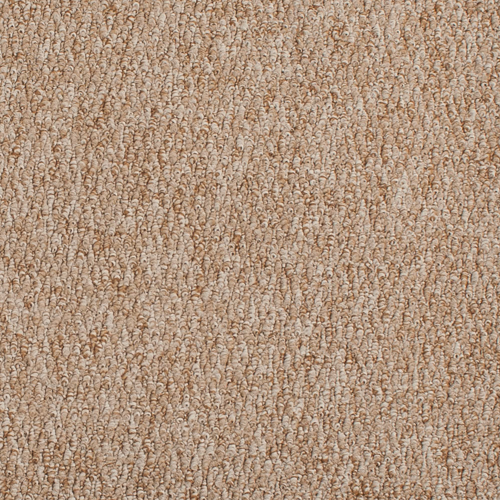 Beige New York Carpet