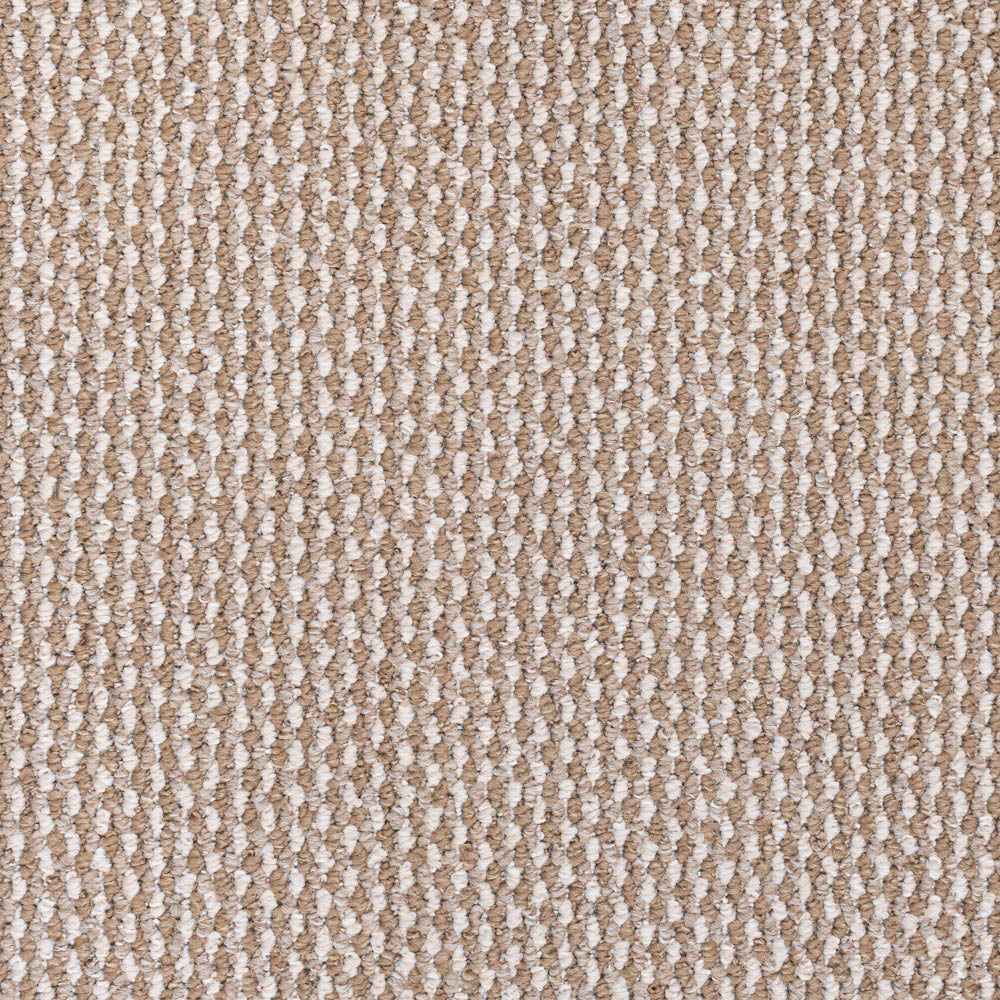 Beige Richmond Loop Feltback Carpet - Image 2