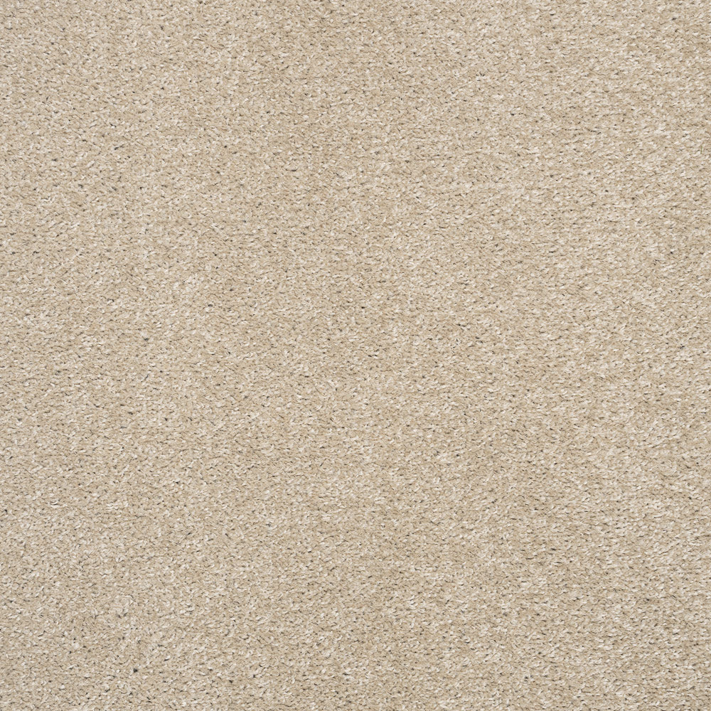 Belton Feltback Twist Carpet - Image 18