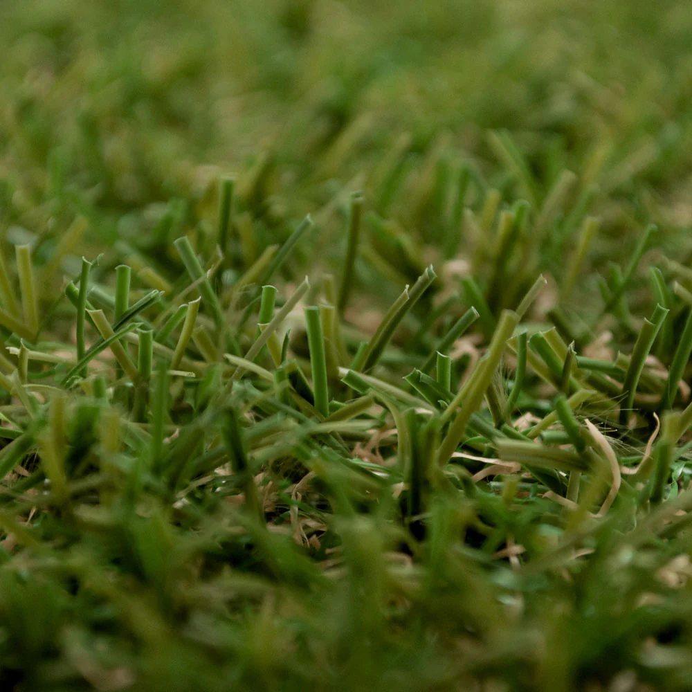 Victoria 30 Artificial Grass - Image 5