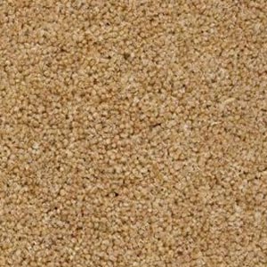 Berwick 50oz Carpet by Cormar - Image 10