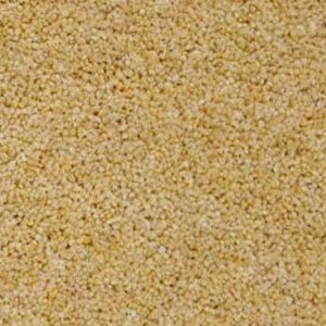 Berwick 50oz Carpet by Cormar - Image 11