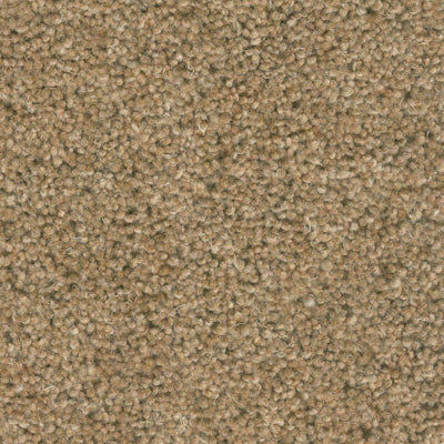 Berwick 50oz Carpet by Cormar - Image 14