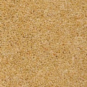Berwick 50oz Carpet by Cormar - Image 15