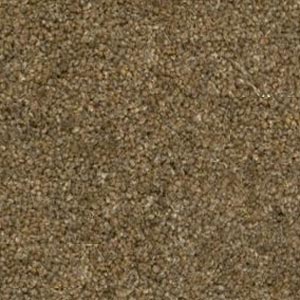 Berwick 50oz Carpet by Cormar - Image 2