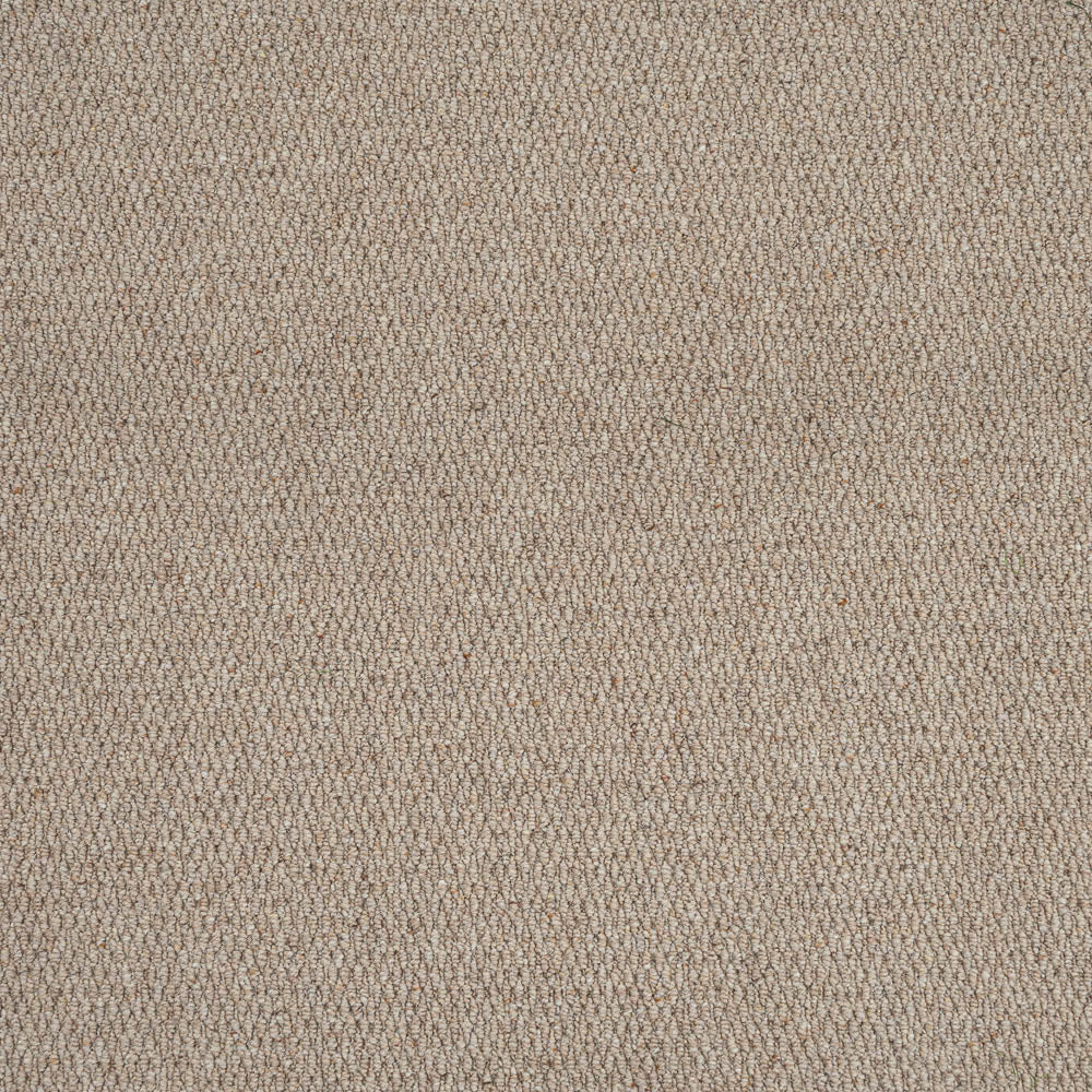 Biscotti 05 Royal Windsor Wool Loop Carpet by Abingdon - Image 5