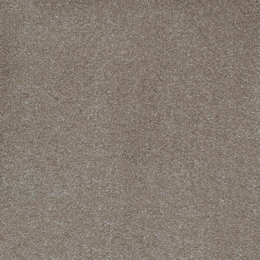 Biscotti 39 Magnificus Invictus Carpet
