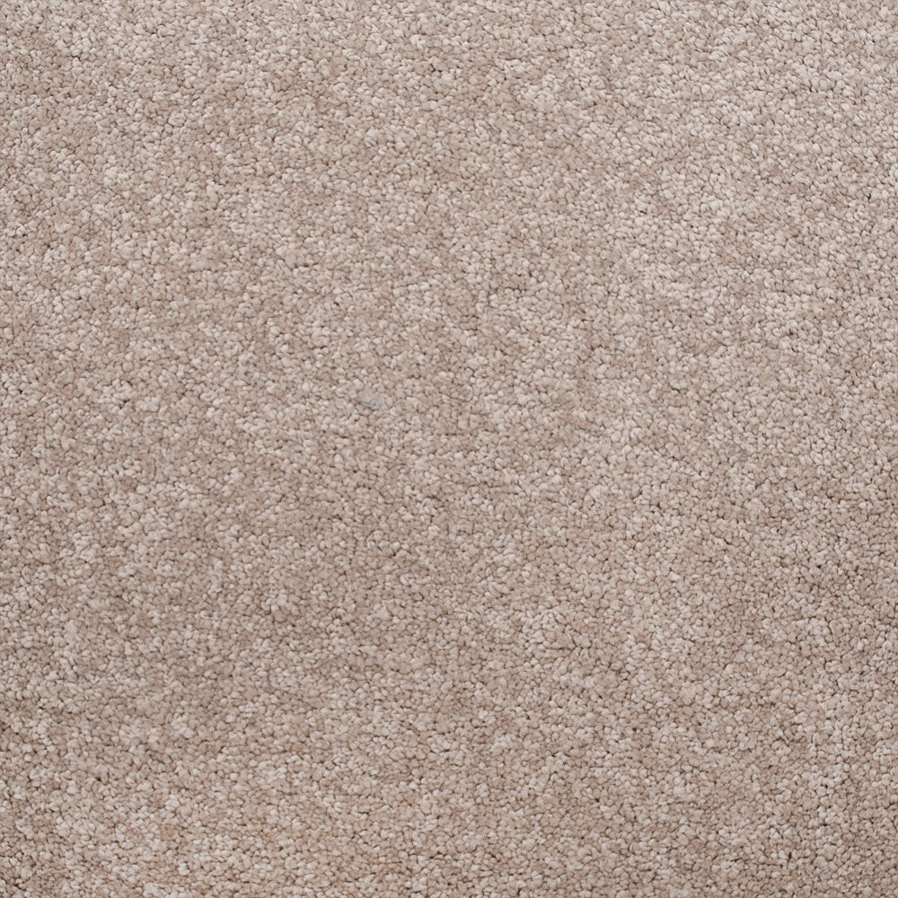 Stainfree Biscotti Amore Carpet