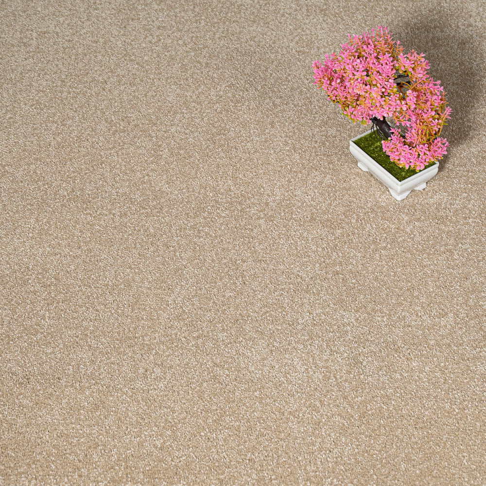 Biscuit 34 Sirius 70oz Invictus Carpet