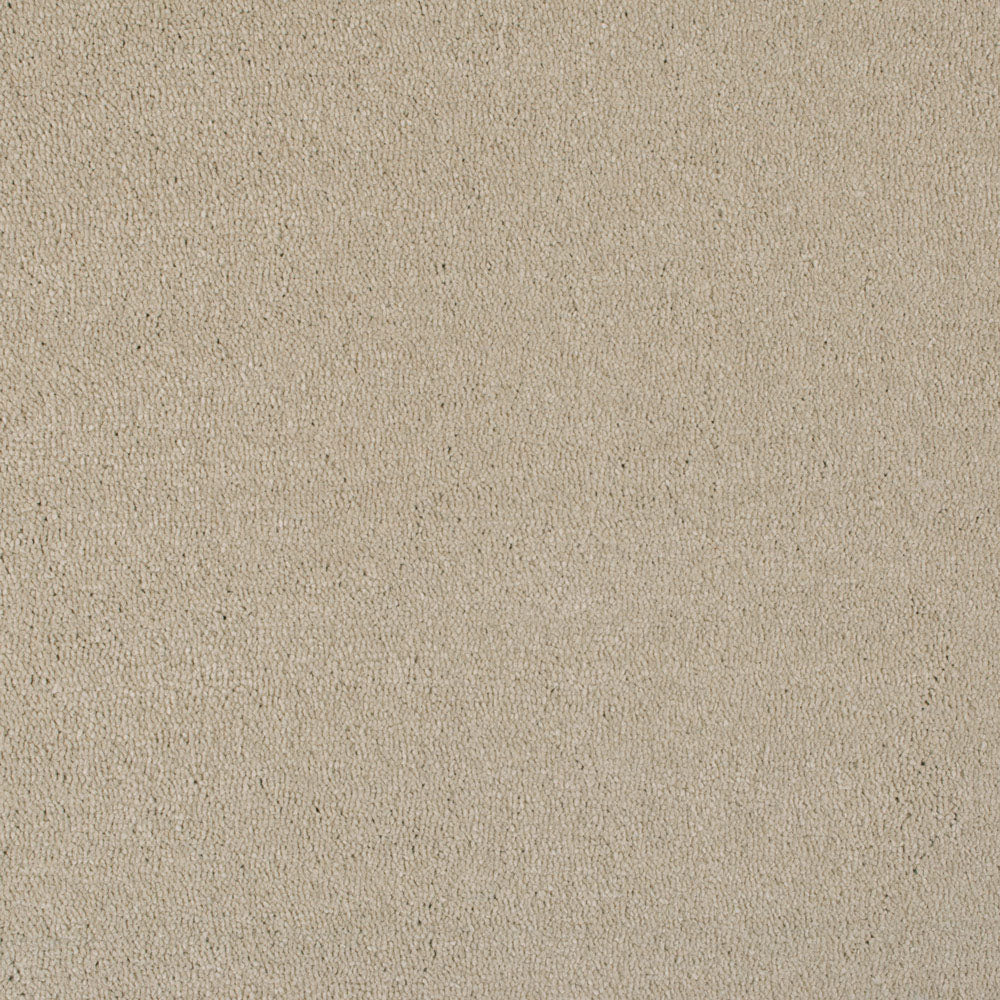 Biscuit 72 Vogue Intenza Carpet - Image 4