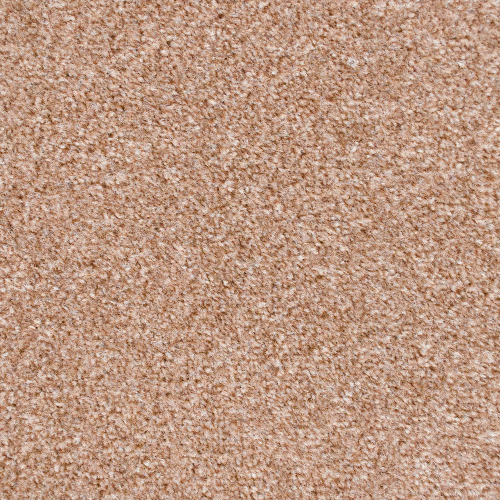 Biscuit 918 Easy Living Carpet - Image 2