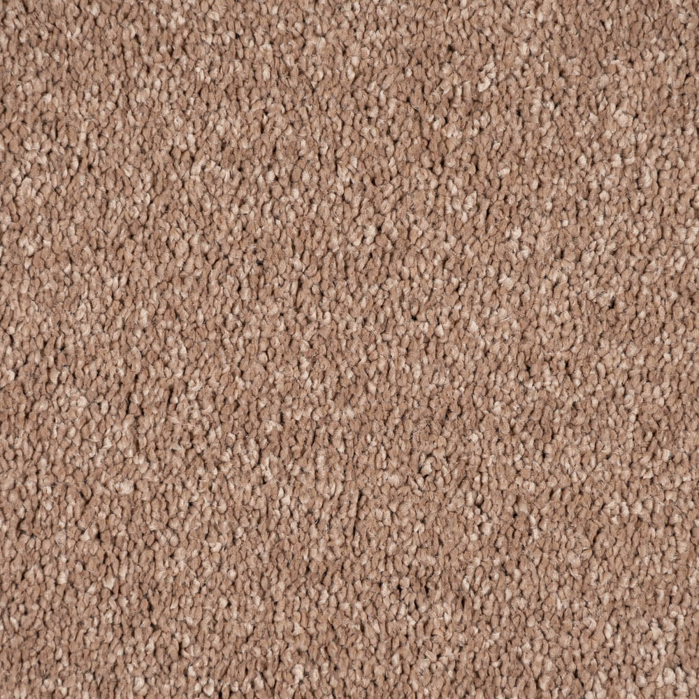 Biscuit Beige Alhambra Saxony Carpet - Image 3