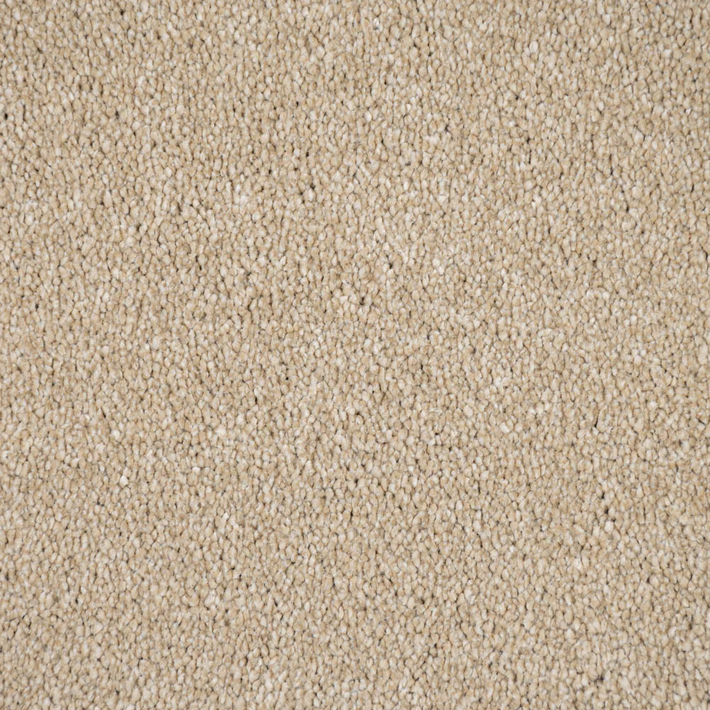 Biscuit Beige Moxie Saxony Carpet - Image 3