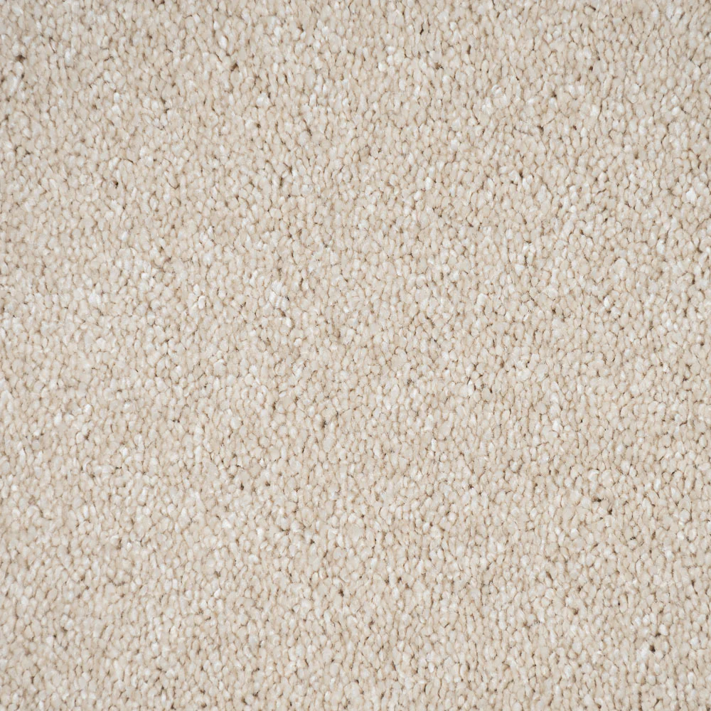 Blanche White 30 Sirius 70oz Invictus Carpet - Image 4