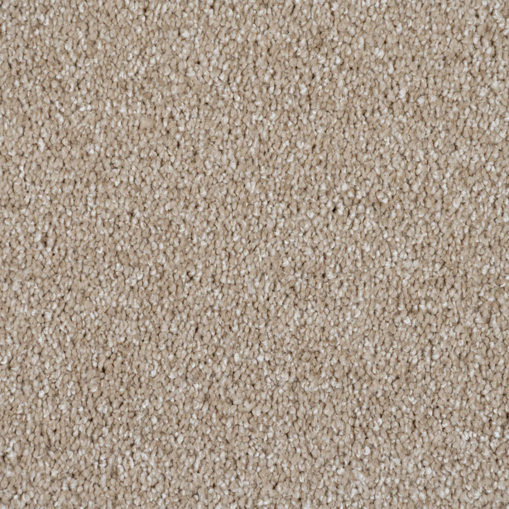 Blanched Almond 30 Yukon Gaia Carpet - Image 4