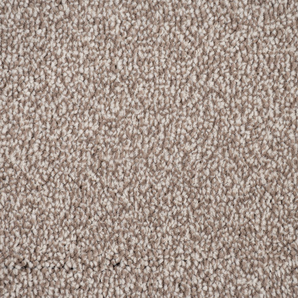 Blended Madrid Saxony Carpet - Image 3