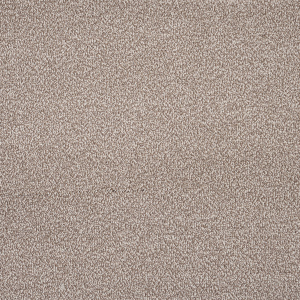 Blended Madrid Saxony Carpet - Image 5