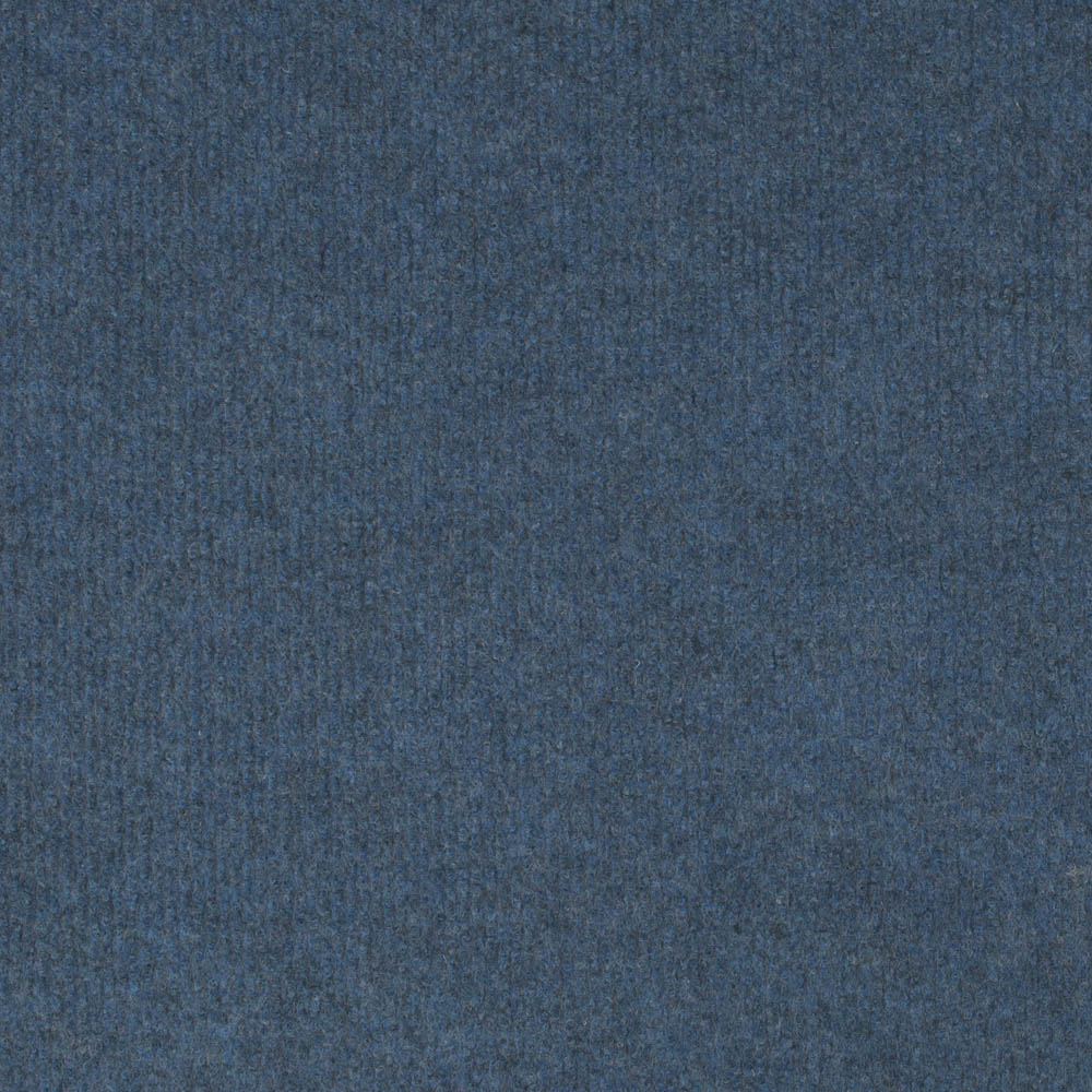 Blue Cord Carpet - Image 4