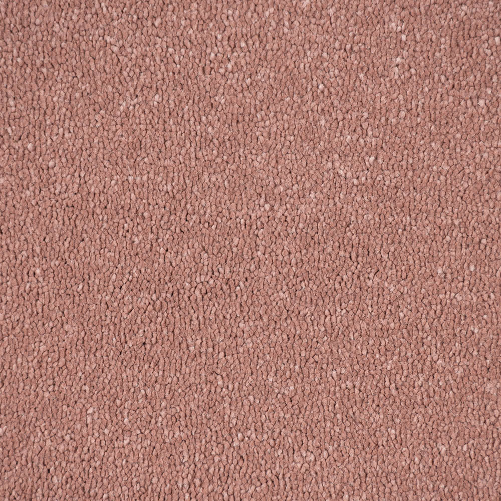 Blush 86 Taurus Invictus Carpet - Image 4