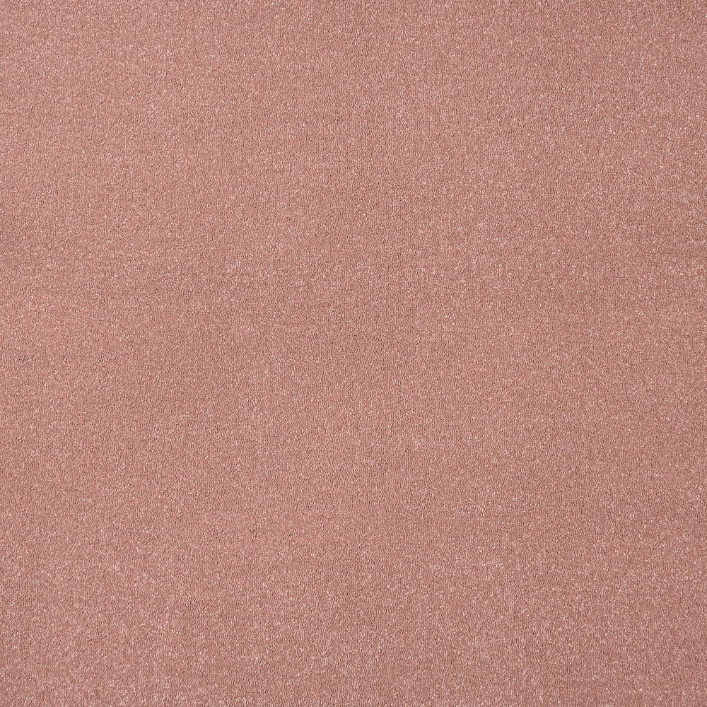Blush 86 Taurus Invictus Carpet - Image 6