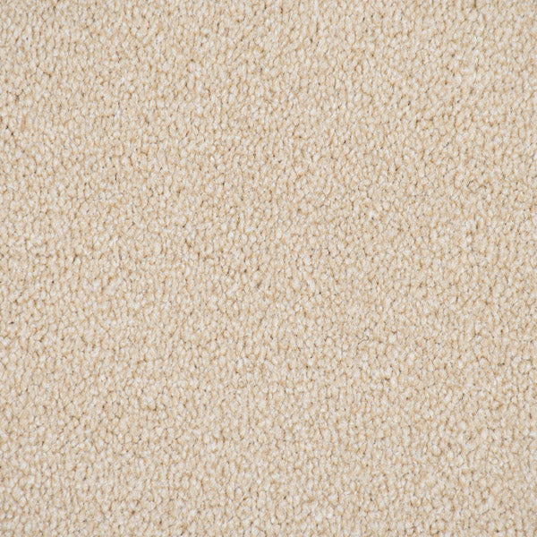 Bone Catalonia Saxony Carpet - Image 3