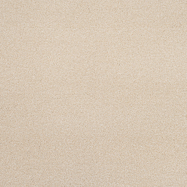 Bone Catalonia Saxony Carpet - Image 5