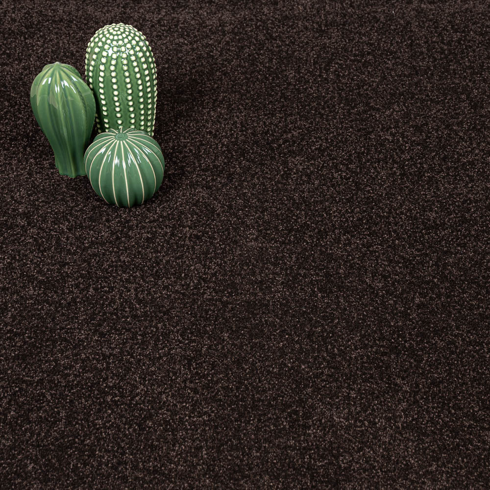 Bourneville Stainfree Caress Carpet by Abingdon