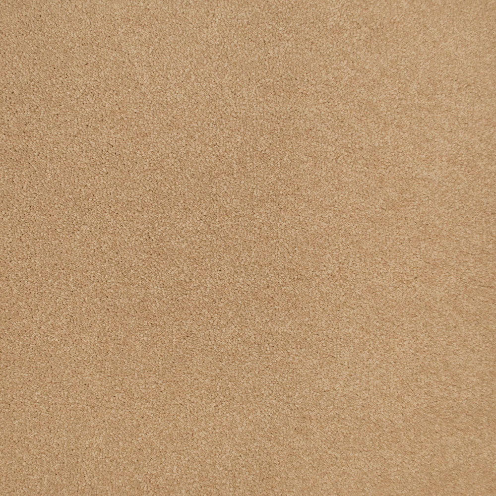 Breadstick 32 Sophistication Supreme Carpet Clearance