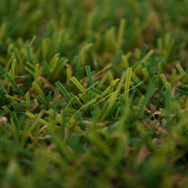 Brecon 50 Artificial Grass - Image 4