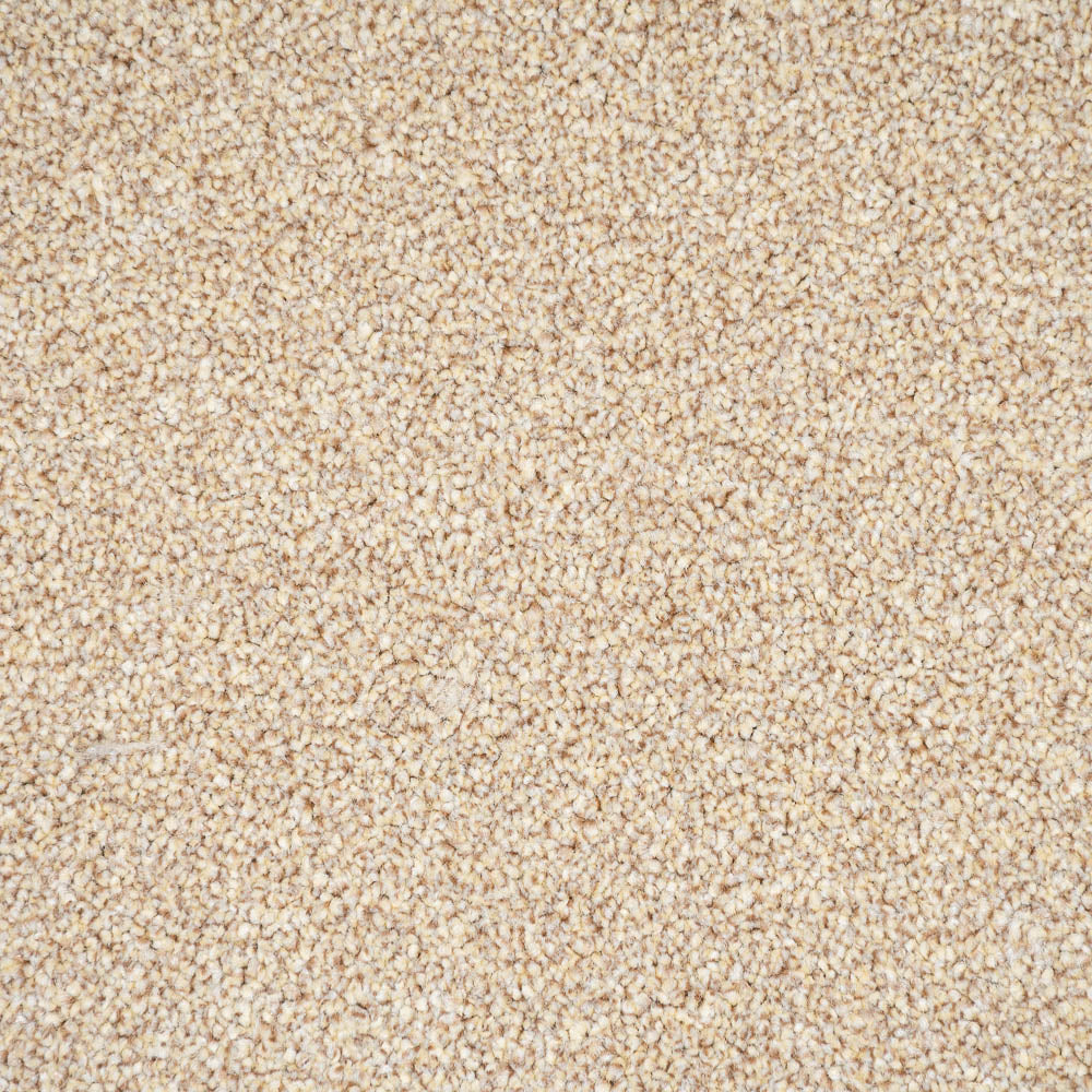 Brioche Primo Naturals Carpet by Cormar - Image 3