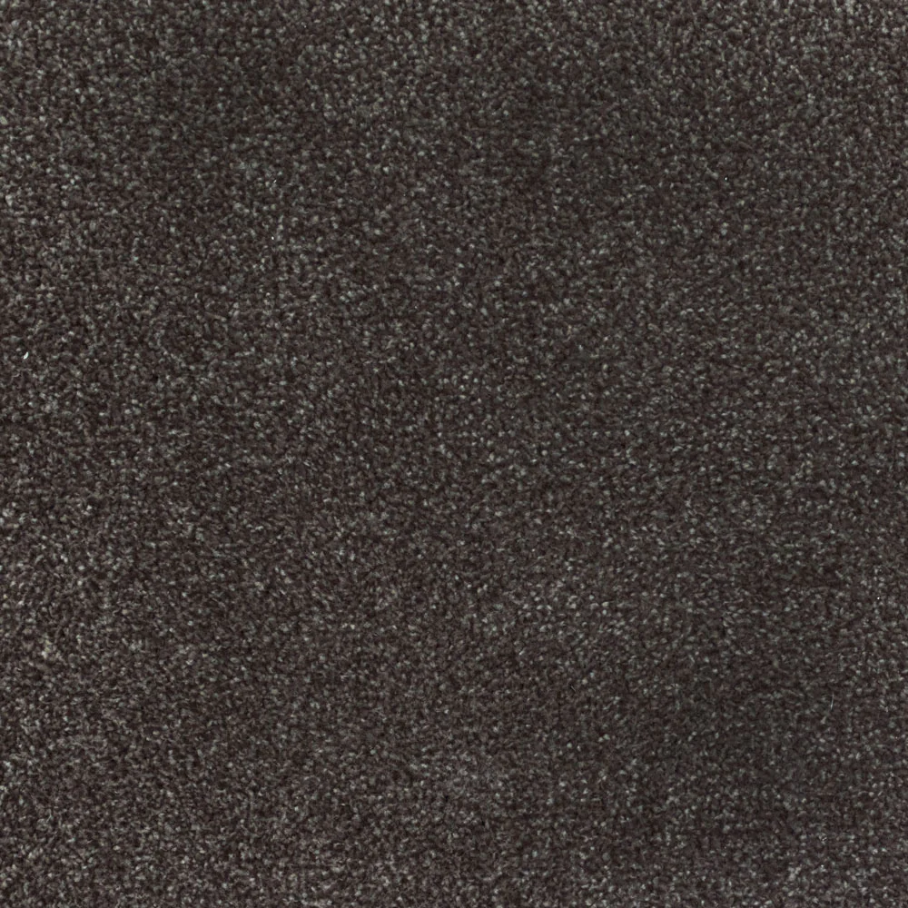 Brown 302 Ocean Actionback Carpet - Image 4
