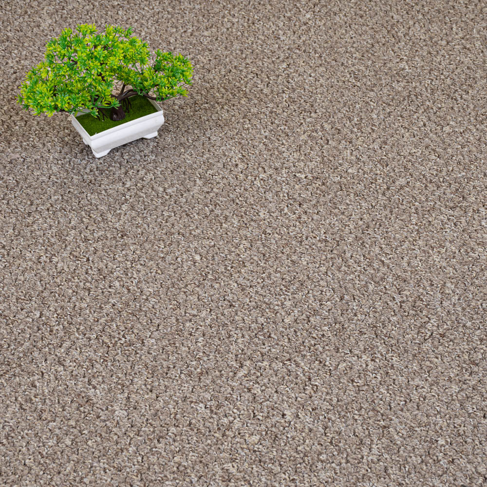 Brown Beige 5915 Alabama Loop Carpet