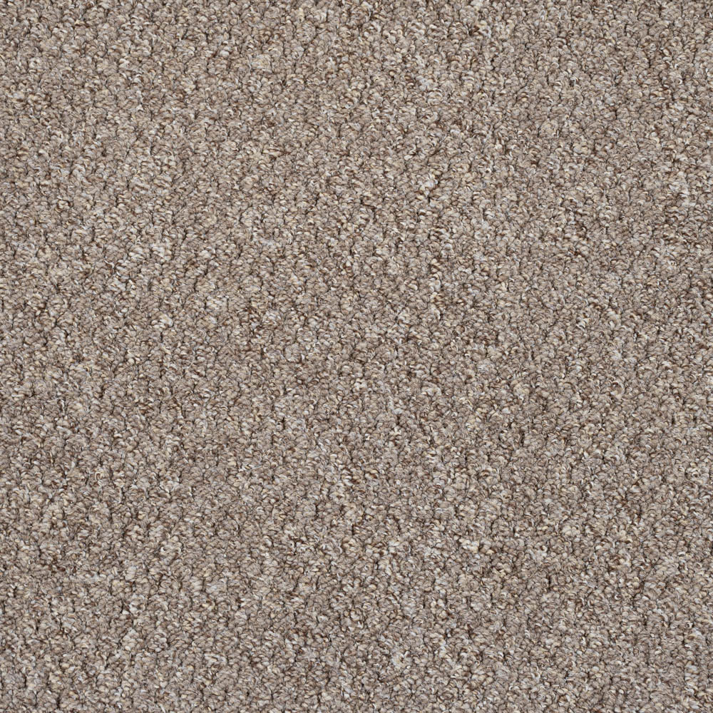 Brown Beige 5915 Alabama Loop Carpet - Image 2