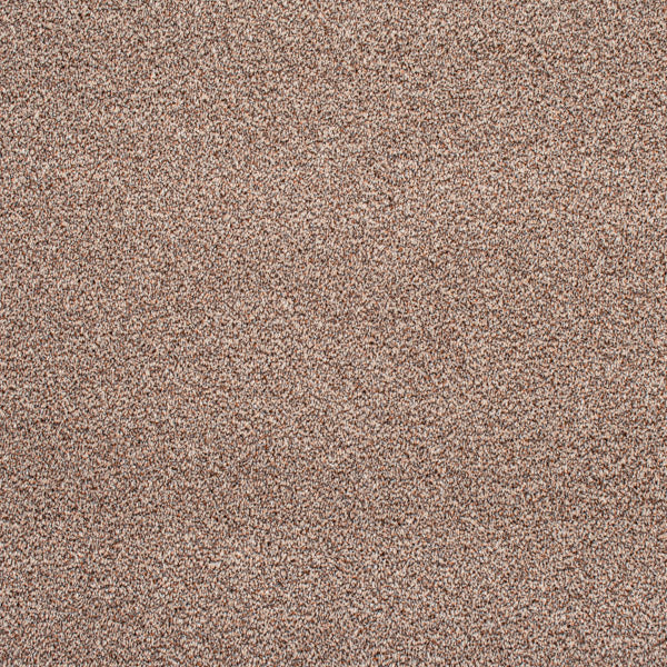 Brown Catalonia Saxony Carpet - Image 2