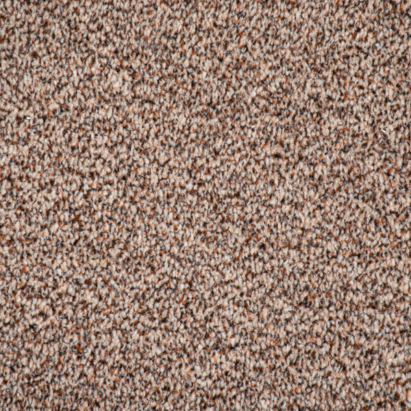 Brown Catalonia Saxony Carpet - Image 3