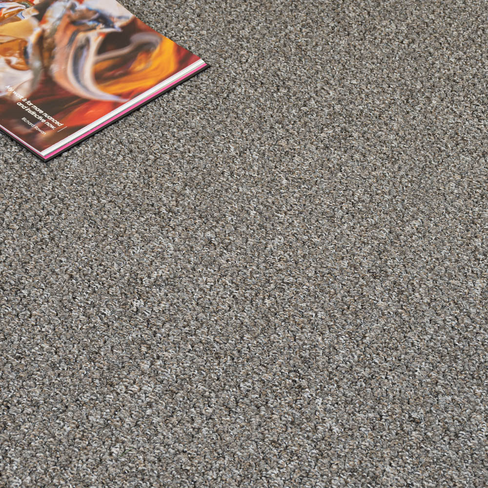 Brown Grey 5519 Alabama Loop Carpet