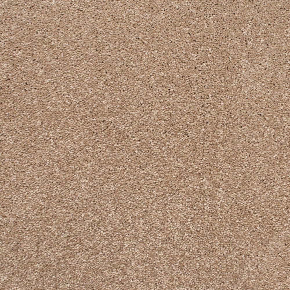 Brushed Cotton 700 Soft Noble Actionback Carpet - Image 2