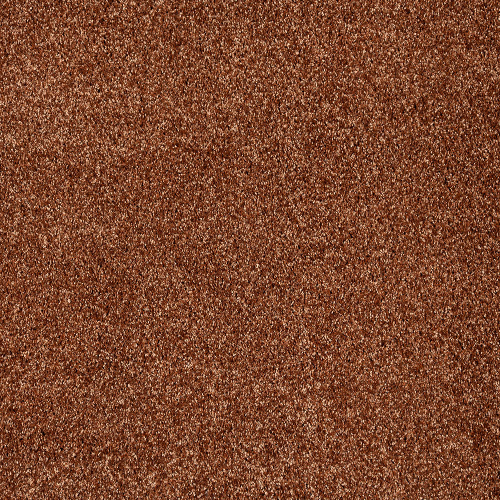 Buff 82 Dorado 56oz Invictus Gaia Carpet - Image 2