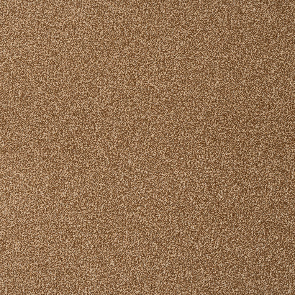 Bumblebee Apollo Plus Carpet by Cormar - Image 3
