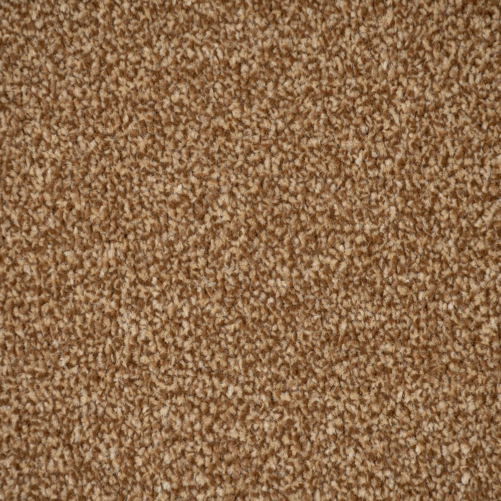 Bumblebee Apollo Plus Carpet by Cormar - Image 4