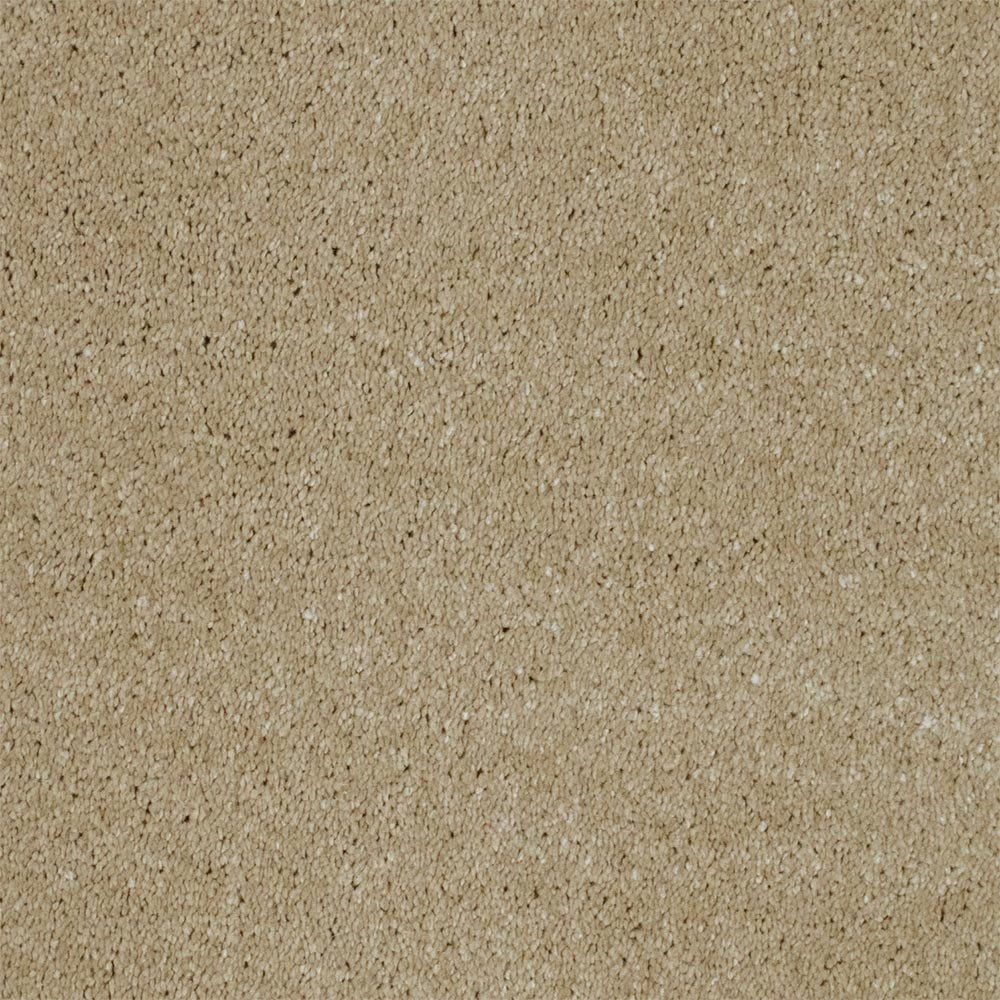 Buttermilk 32 Magnificus Invictus Supreme Carpet