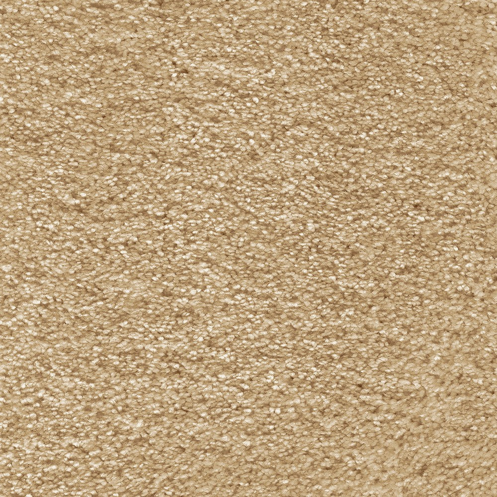Caddie 35 Ventus Twist Carpet Clearance - Image 2