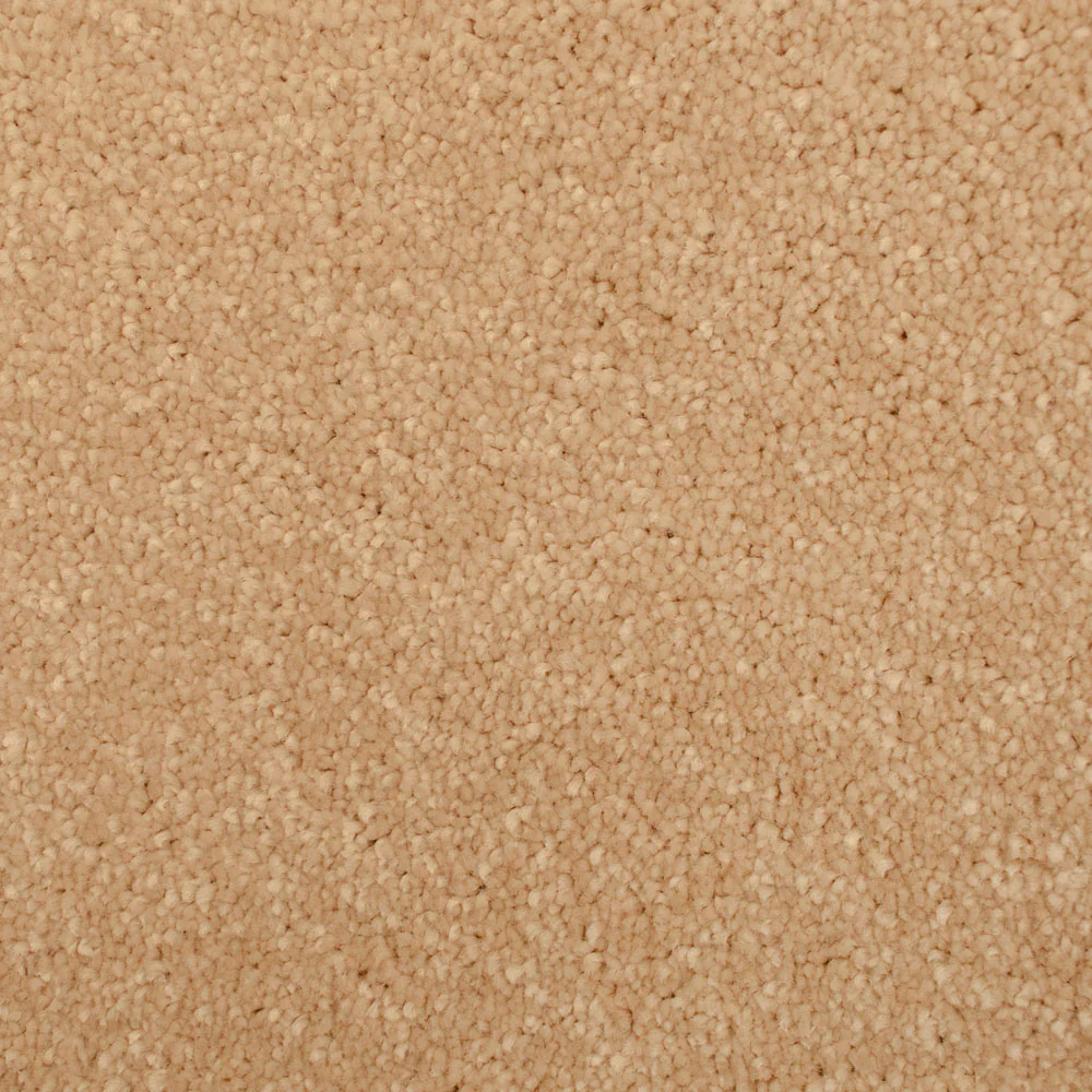 Calico Primo Ultra Carpet by Cormar - Image 2