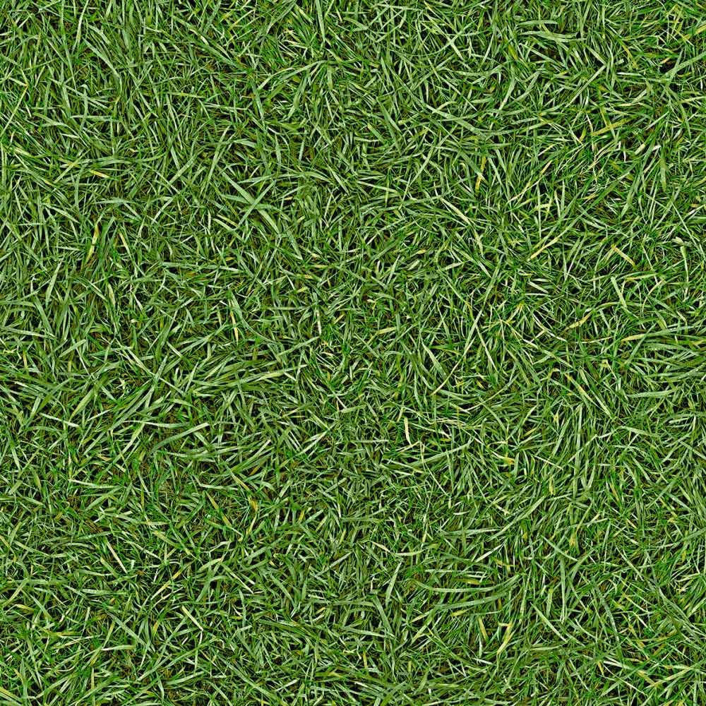 Candy Vinyl Flooring - Image 6