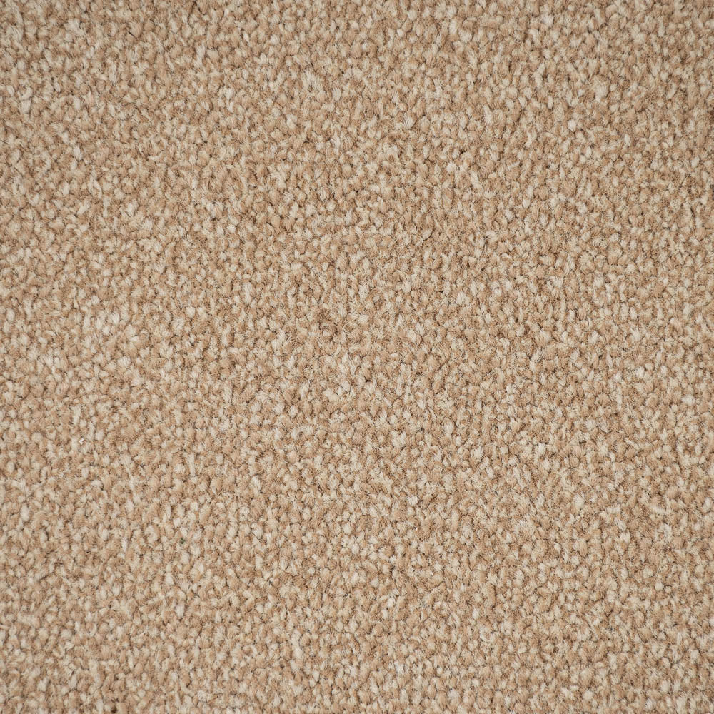Caramel Apollo Plus Carpet by Cormar - Image 3