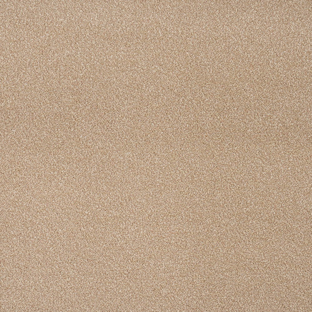 Caramel Apollo Plus Carpet by Cormar - Image 5
